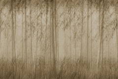 Sauvage 12SV01 wallpaper by LondonArt
