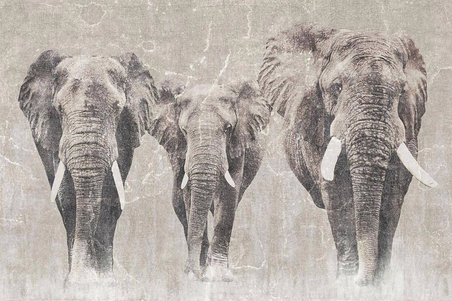 Africa 13AF01 wallpaper by LondonArt