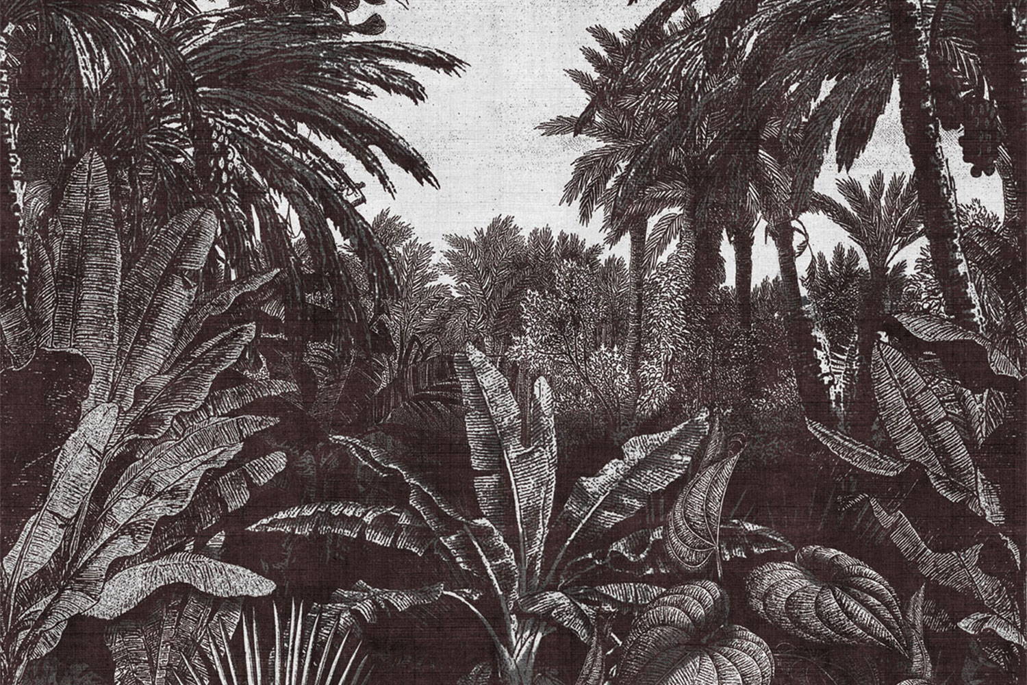 Tropical Mornings 17016 wallpaper in 17016_1 color