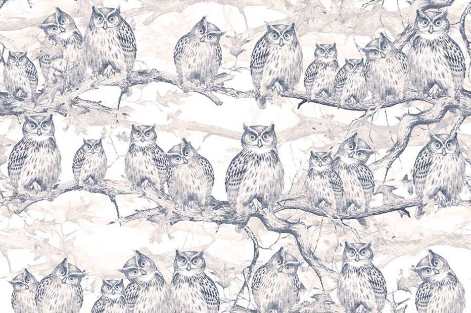 Owls Resort 17017 wallpaper in 17017_1 color
