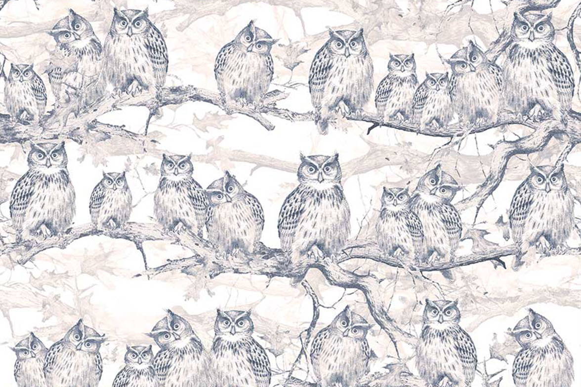 Owls Resort 17017 wallpaper in 17017_1 color
Owls Resort 17017 wallpaper in 17017_1 color