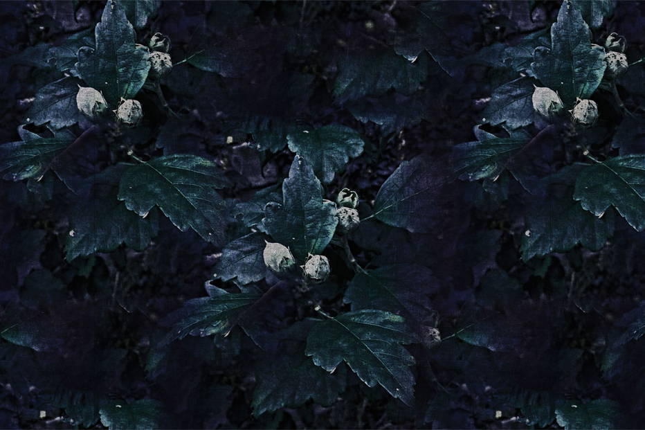 The Woodlanders 17065 wallpaper in 17065_1 color