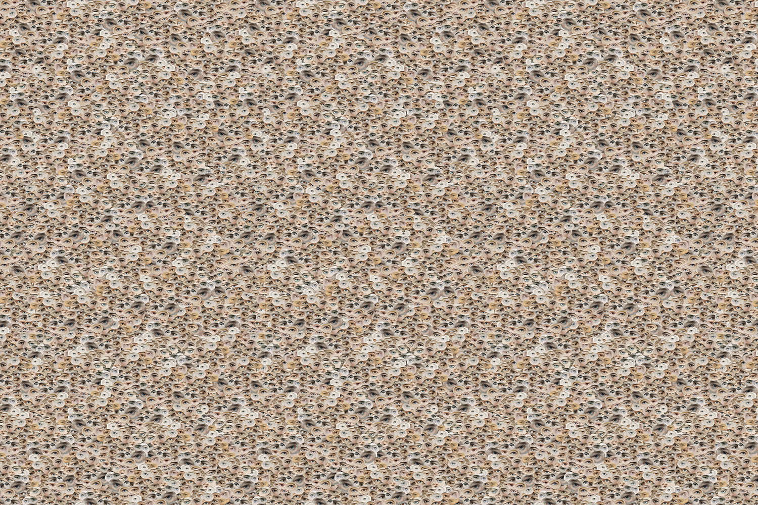 Victorian Eyes 18002 wallpaper in 18002_1 color
