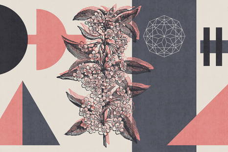 Esoterica 18036 wallpaper in 18036_1 version
