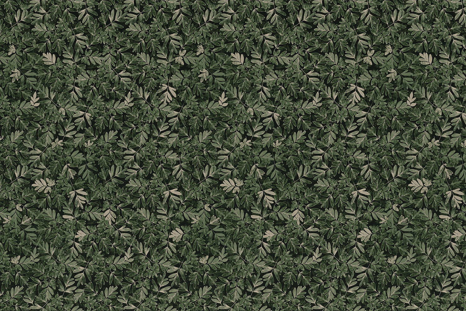 Living Garden 18109 wallpaper in 18109_1 color
