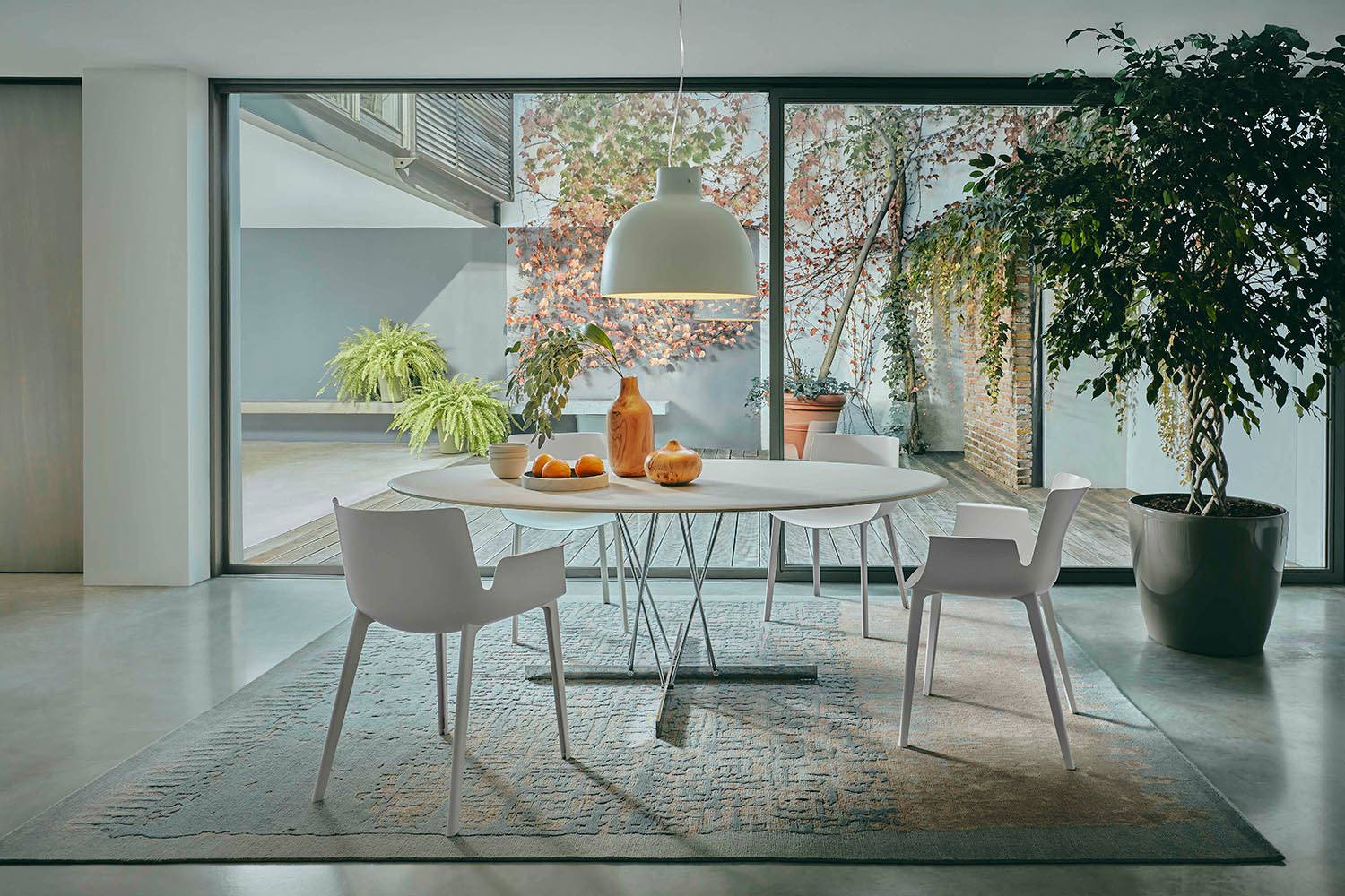 Bellissima pendant light with the Piuma dining chairs and Viscount of Wood Oval Dining Table