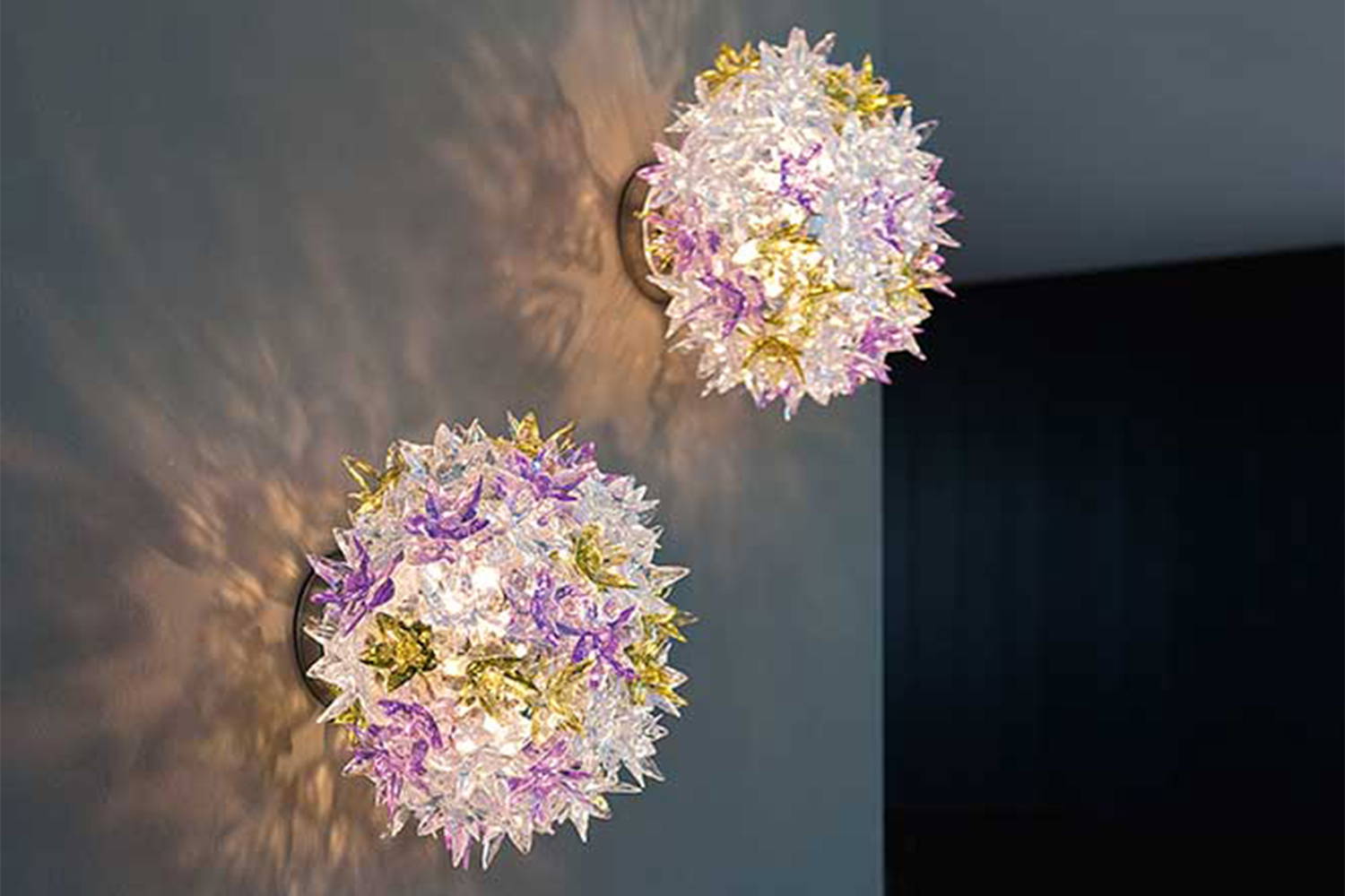 Bloom wall sconces in the transparent lavender finish mounted 