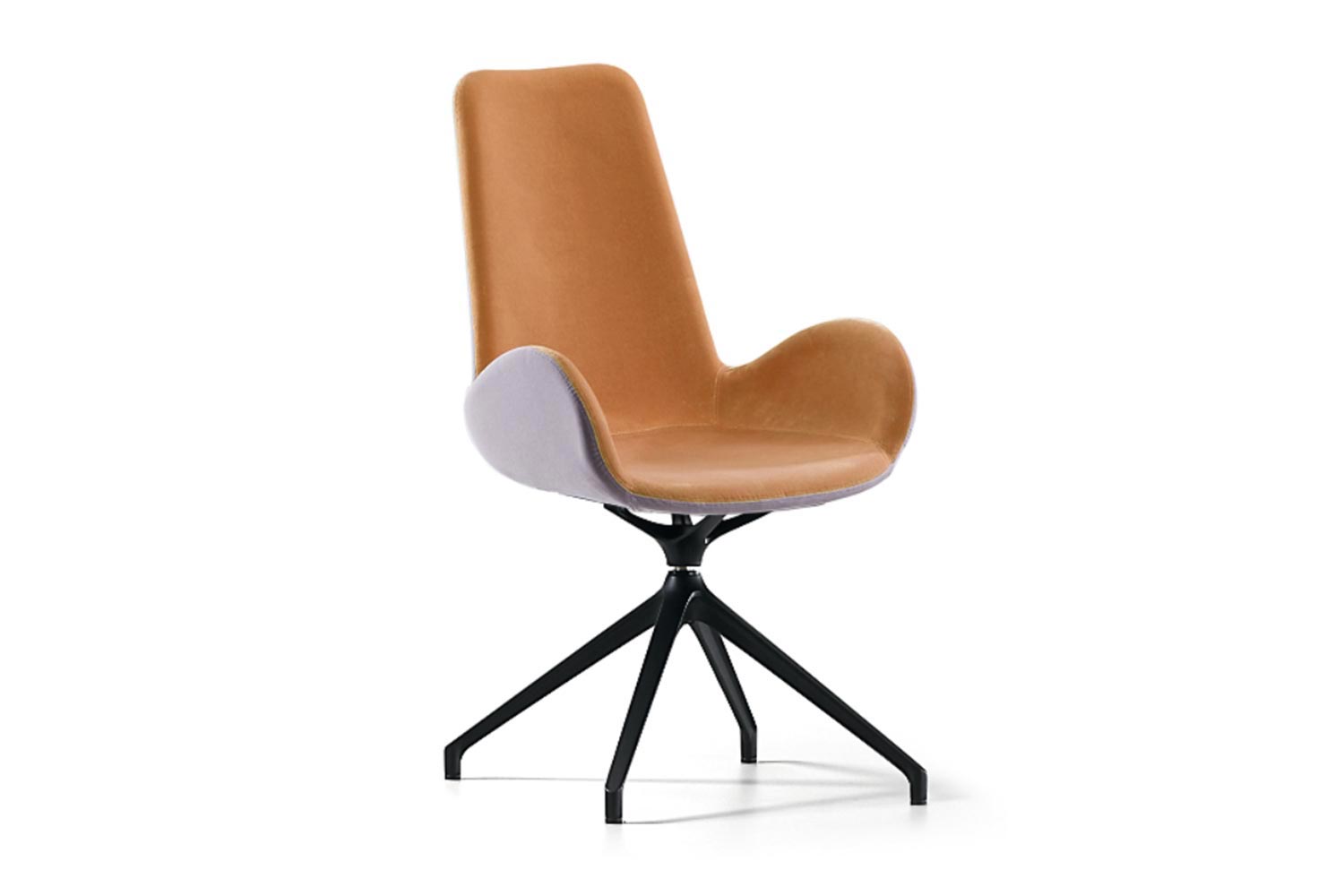 Dalia conference chair by Midj (Multicolor upholstery is available on request)