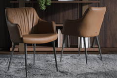 Gaia Dining Chair, view of front and back
