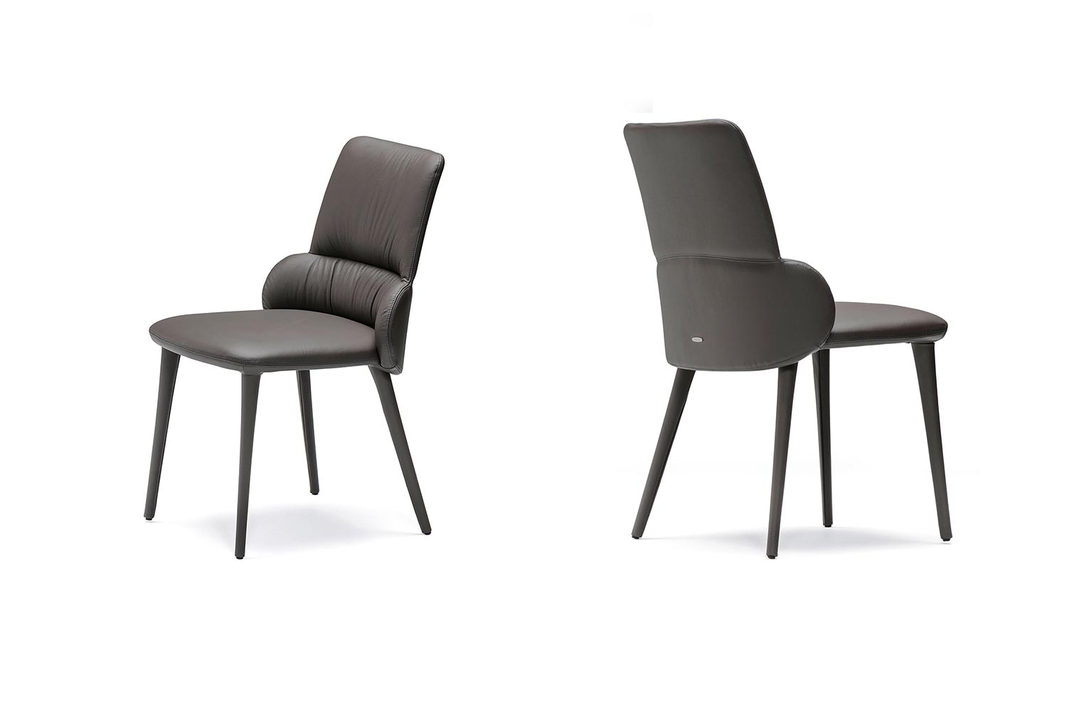 Ginger Dining Chair - Thumbnail 2