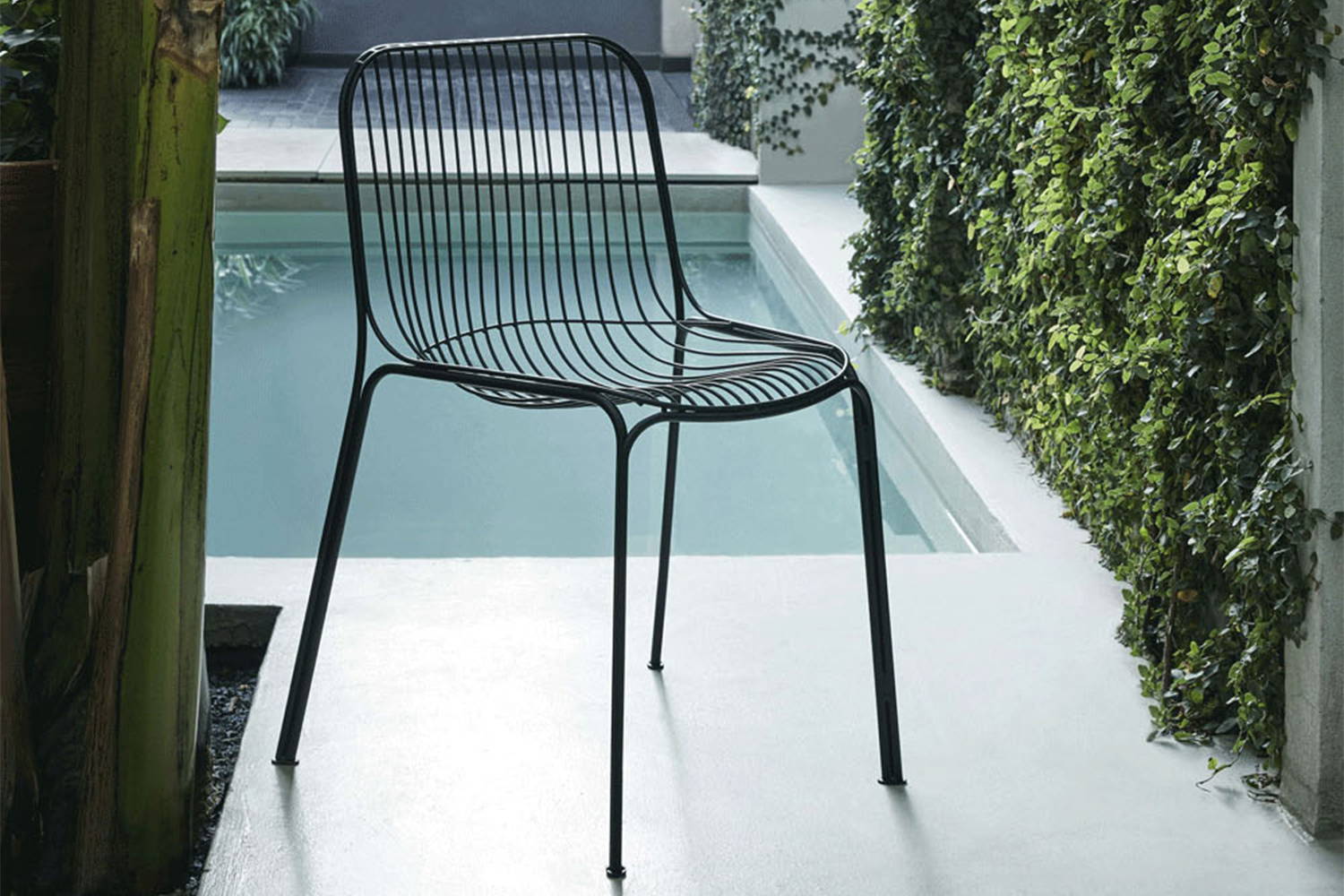 Hiray Dining Chair
