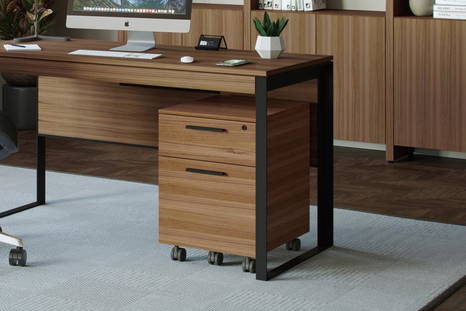 Linea 6227 Mobile File Cabinet by BDI