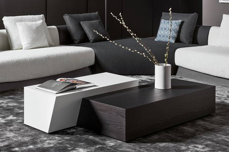 The Litos coffee table in White lacquered wood and Coal Oak.