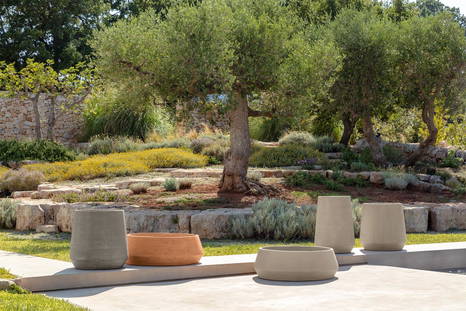A collection of Musa planters.