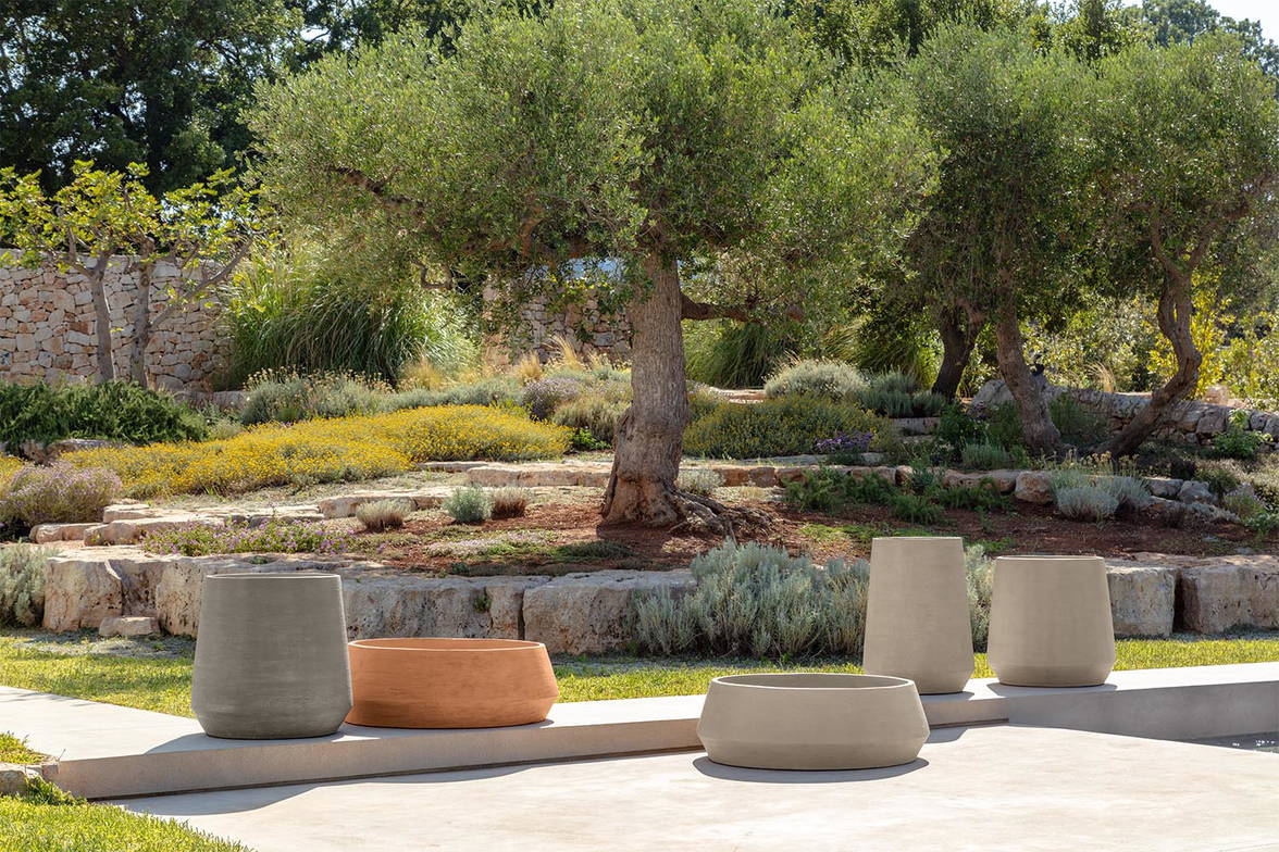 A collection of Musa planters. A collection of Musa planters.
