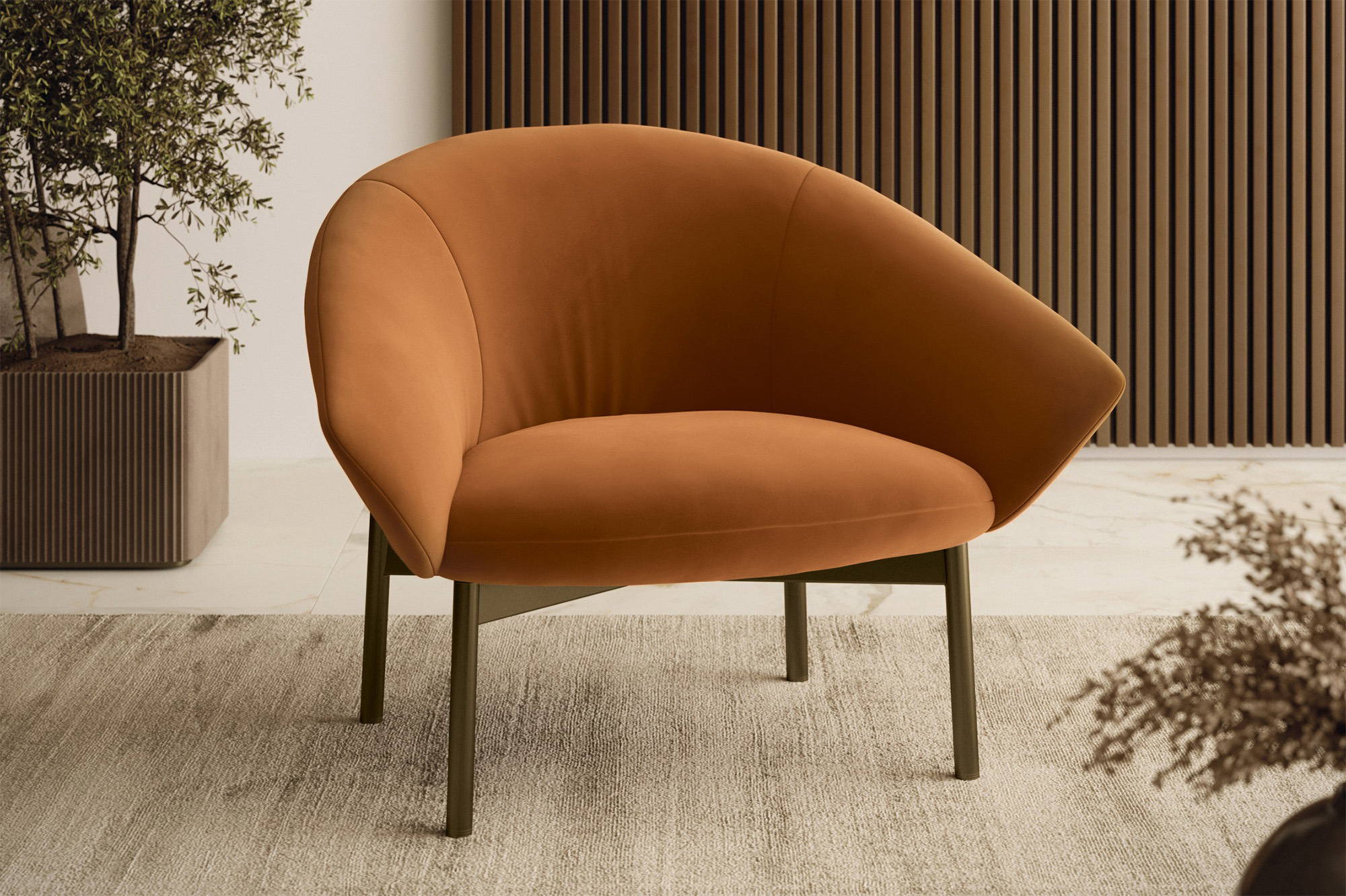 Petra armchair by Bontempi