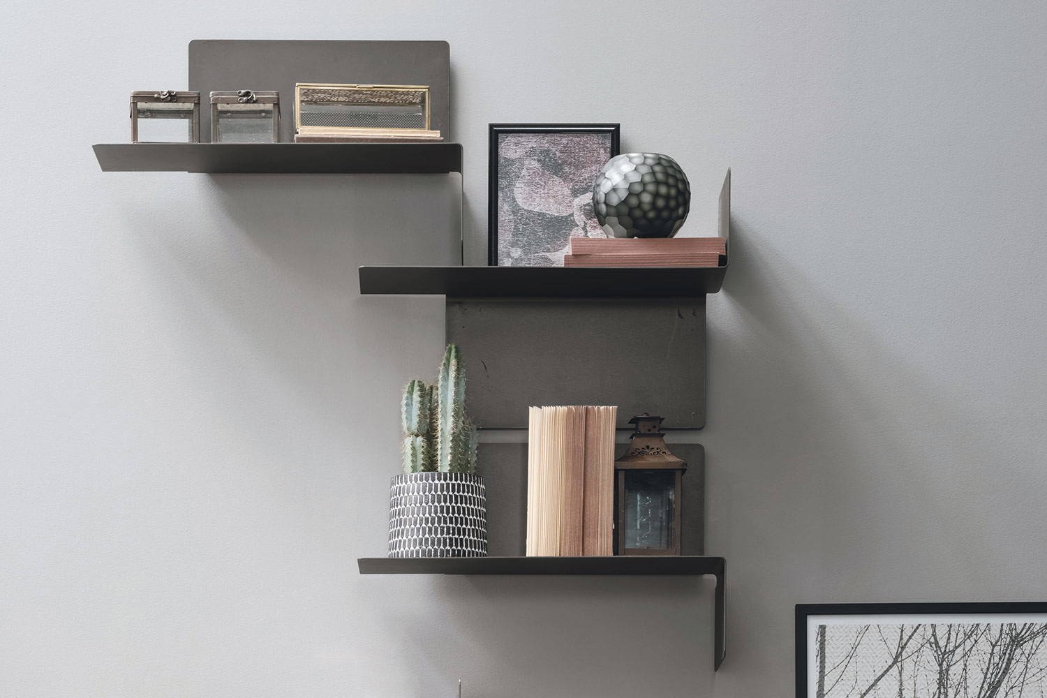 Tomasella Snake Shelf - Thumbnail 3