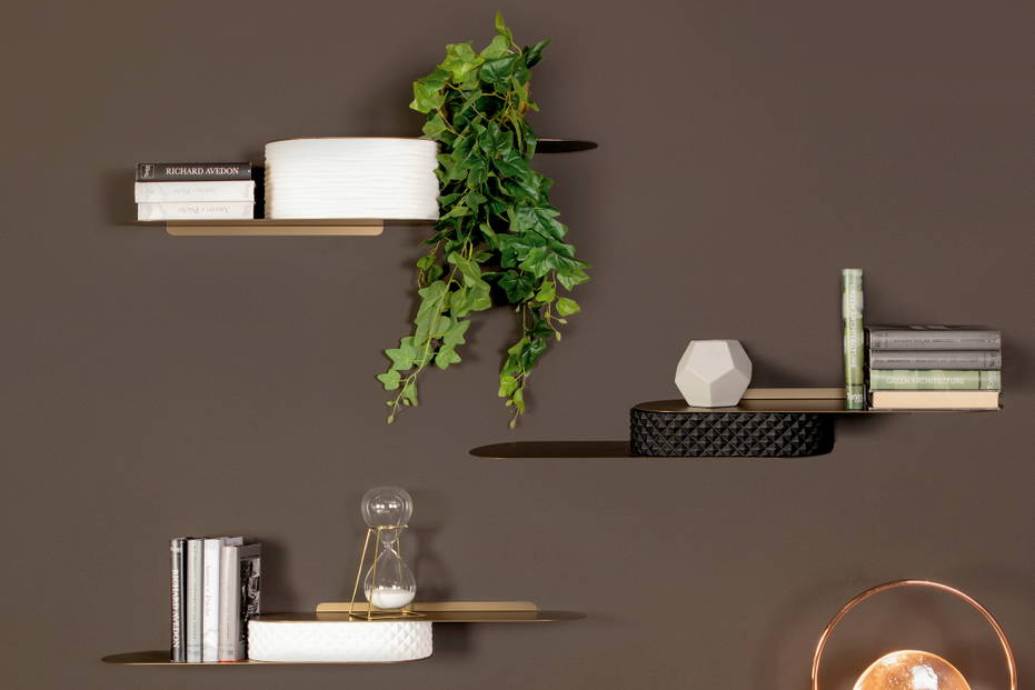 Snowboard Shelves by Tonin Casa