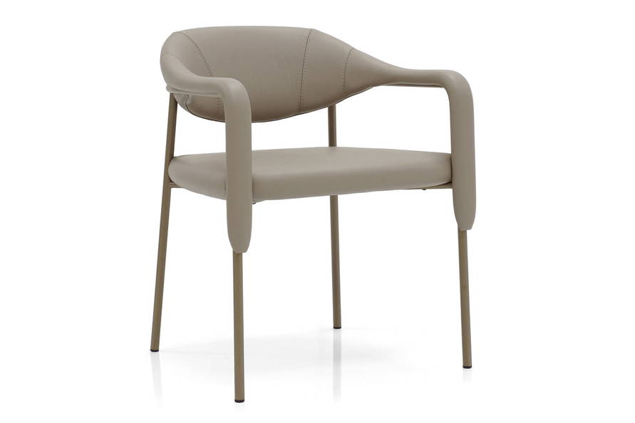 Spider Dining Chair