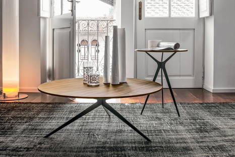Tree coffee table in modern home
