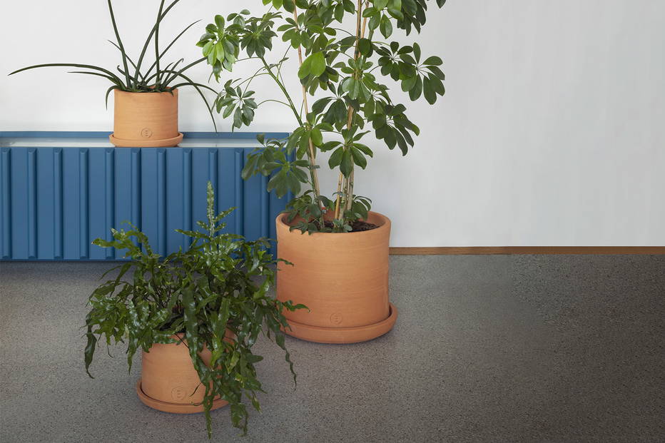 Vavava' Planter