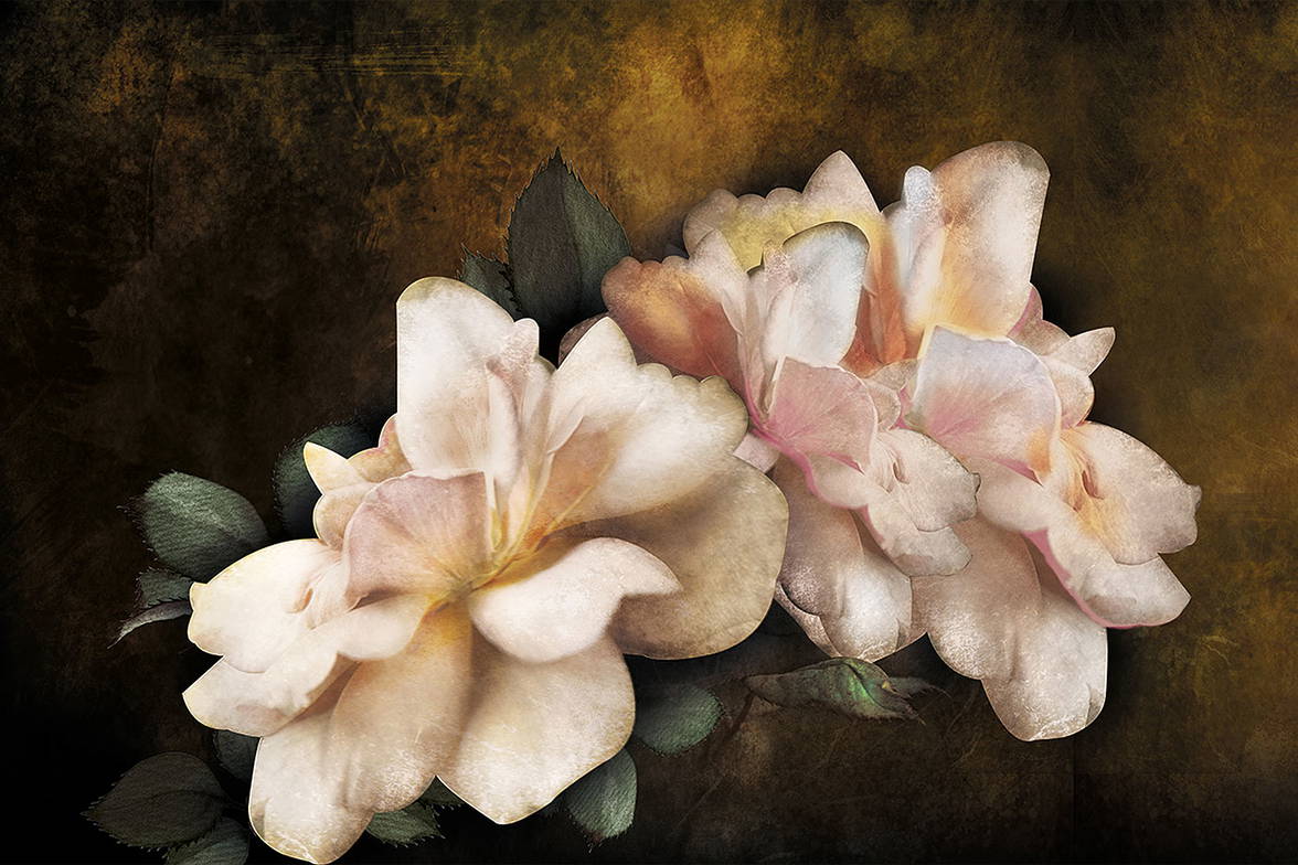 Big Flowers Wallpaper by Adriani & Rossi Big Flowers Wallpaper by Adriani & Rossi